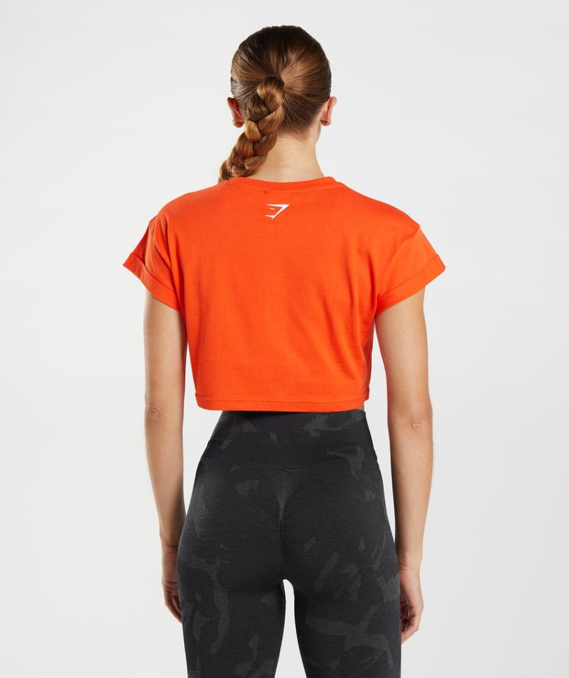 Women's Gymshark Fraction Cropped Tops Orange | NZ 3VEWDU